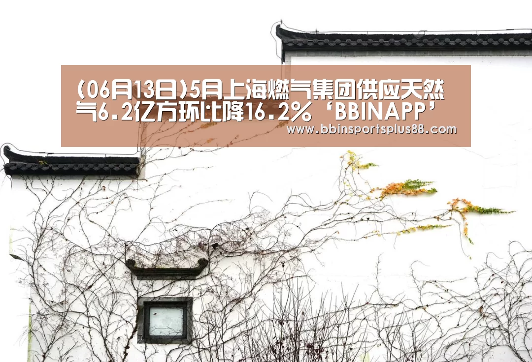 BBIN下载
