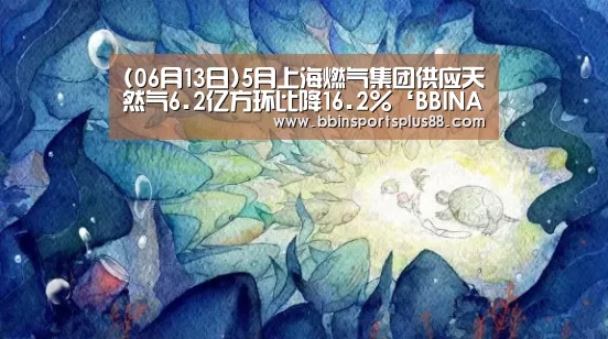 BBIN下载