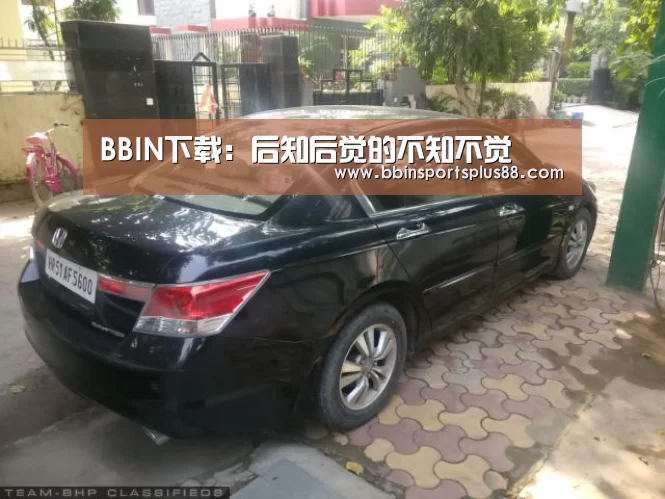 BBIN下载