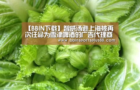 【BBIN下载】智威汤逊上海被再次任命为雪津啤酒的广告代理商(图2) 【BBIN下载】智威汤逊上海被再次任命为雪津啤酒的广告代理商(图2)
