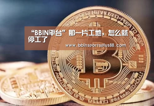 “BBIN平台”那一片工地,怎么就停工了(图3) BBIN平台