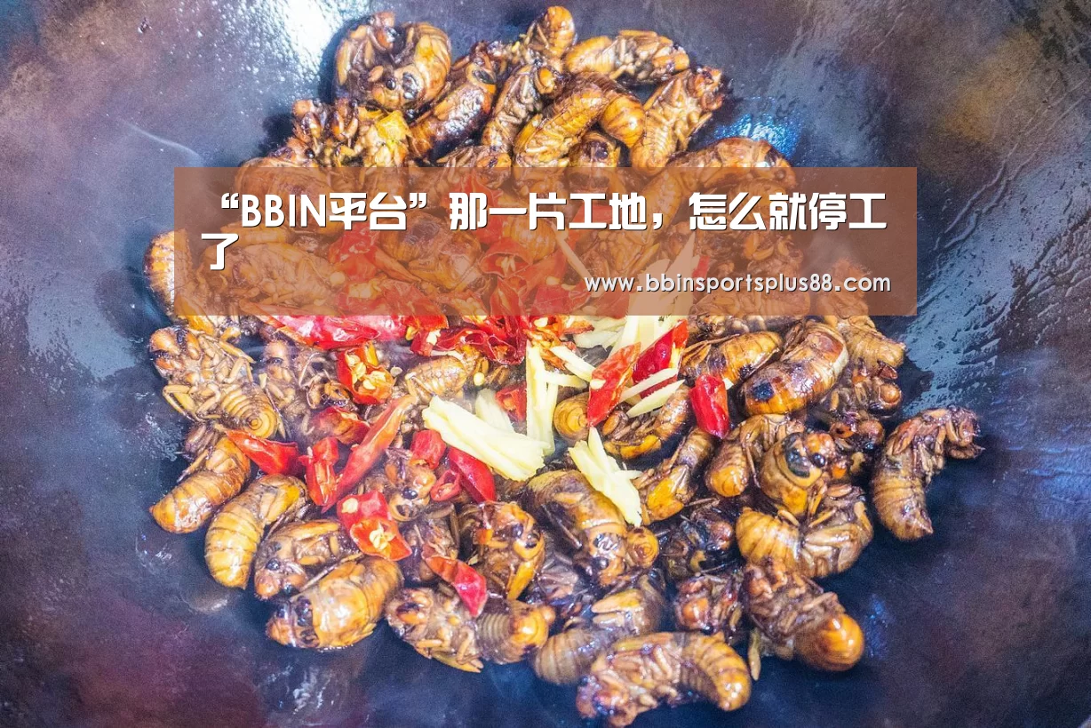 “BBIN平台”那一片工地,怎么就停工了(图2) BBIN下载
