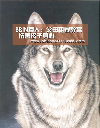 BBIN下载