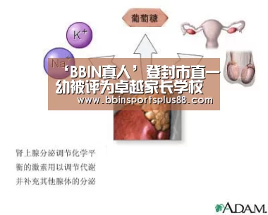 ‘BBIN真人’登封市直一幼被评为卓越家长学校(图1) BBIN平台