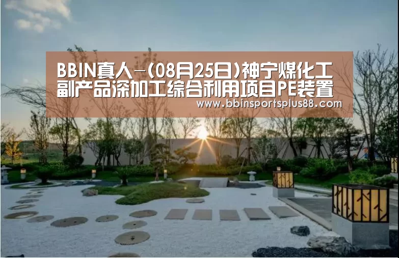 BBIN真人-(08月25日)神宁煤化工副产品深加工综合利用项目PE装置工艺包开工(图2) BBIN下载