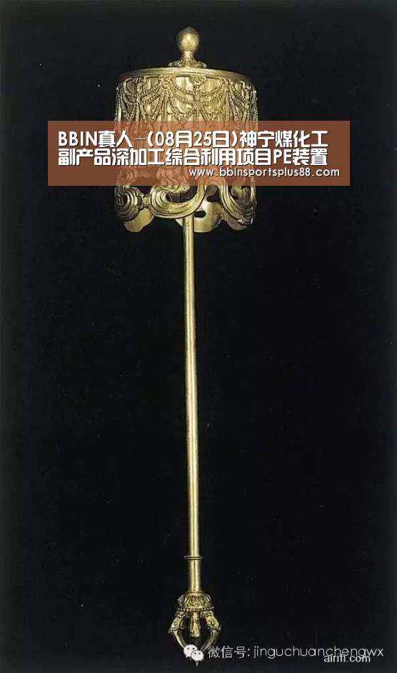 BBIN真人-(08月25日)神宁煤化工副产品深加工综合利用项目PE装置工艺包开工(图4) BBIN真人