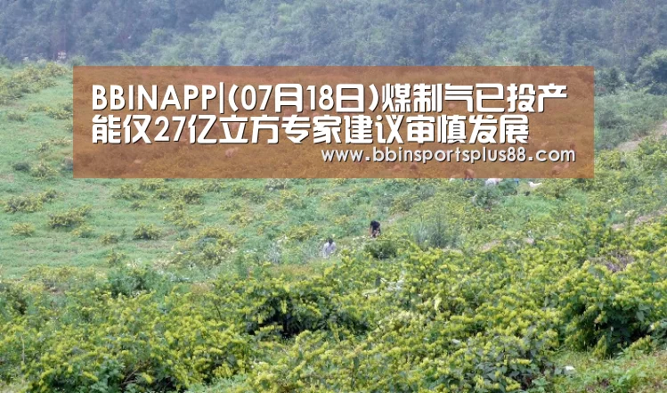 BBINAPP|(07月18日)煤制气已投产能仅27亿立方专家建议审慎发展(图2)