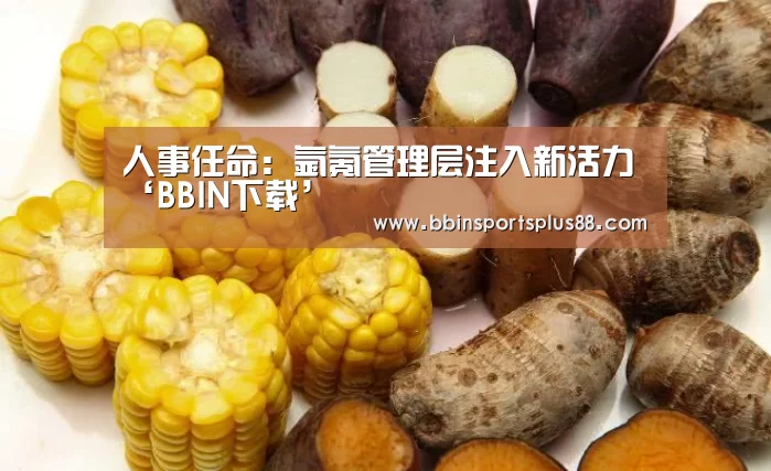 BBIN平台