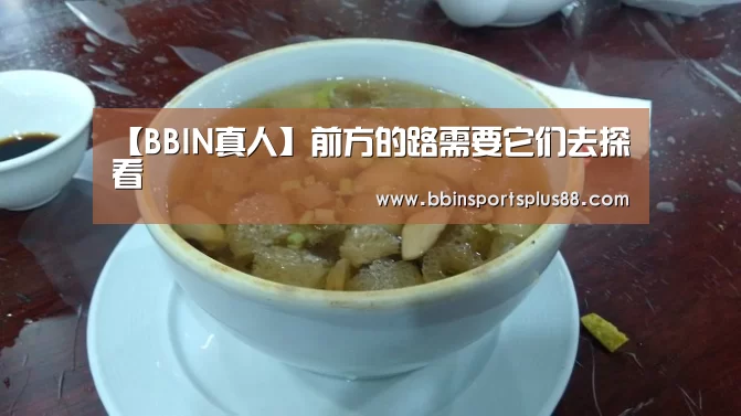 【BBIN真人】前方的路需要它们去探看