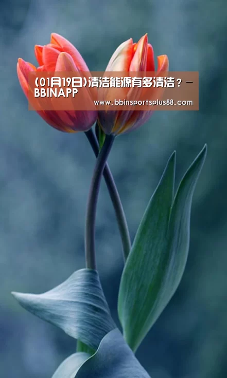 (01月19日)清洁能源有多清洁?-BBINAPP(图3) BBIN真人