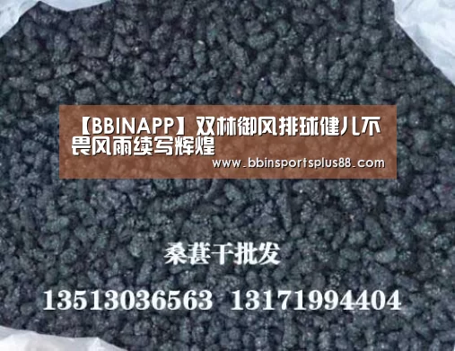【BBINAPP】双林御风排球健儿不畏风雨续写辉煌(图3) BBIN平台