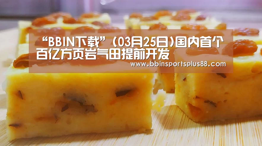 “BBIN下载”(03月25日)国内首个百亿方页岩气田提前开发(图3) BBIN下载