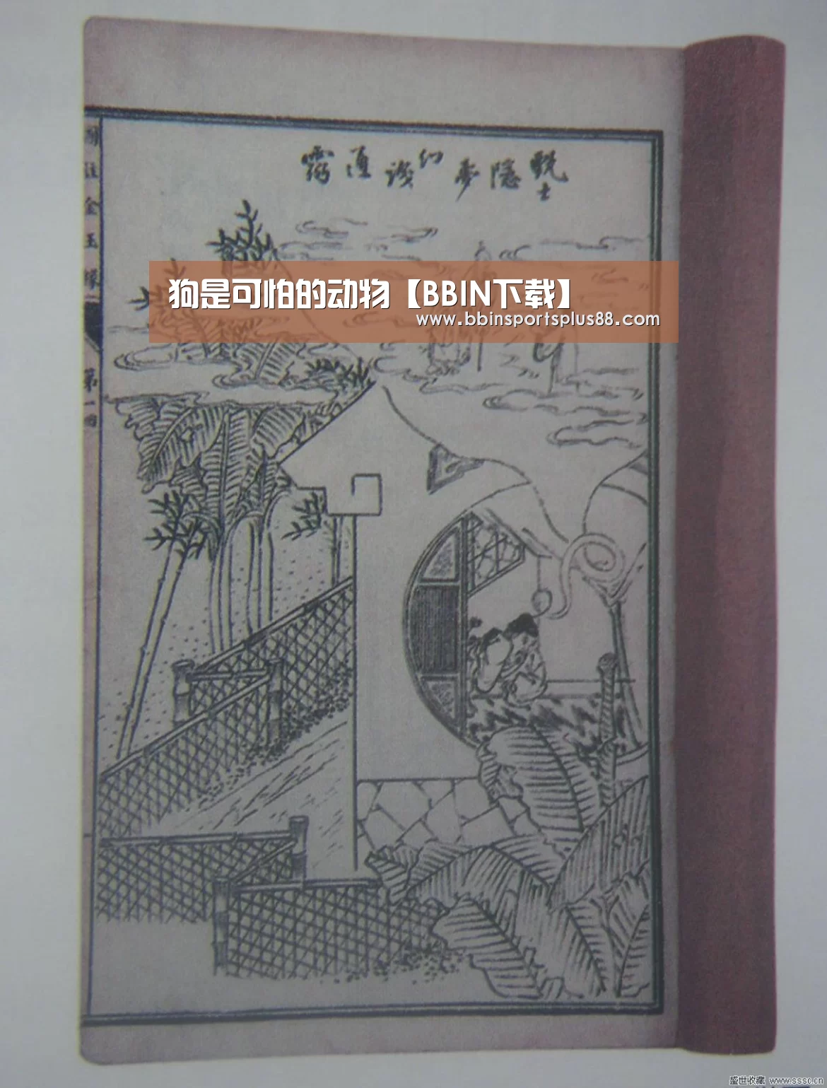 狗是可怕的动物【BBIN下载】(图1) BBIN真人