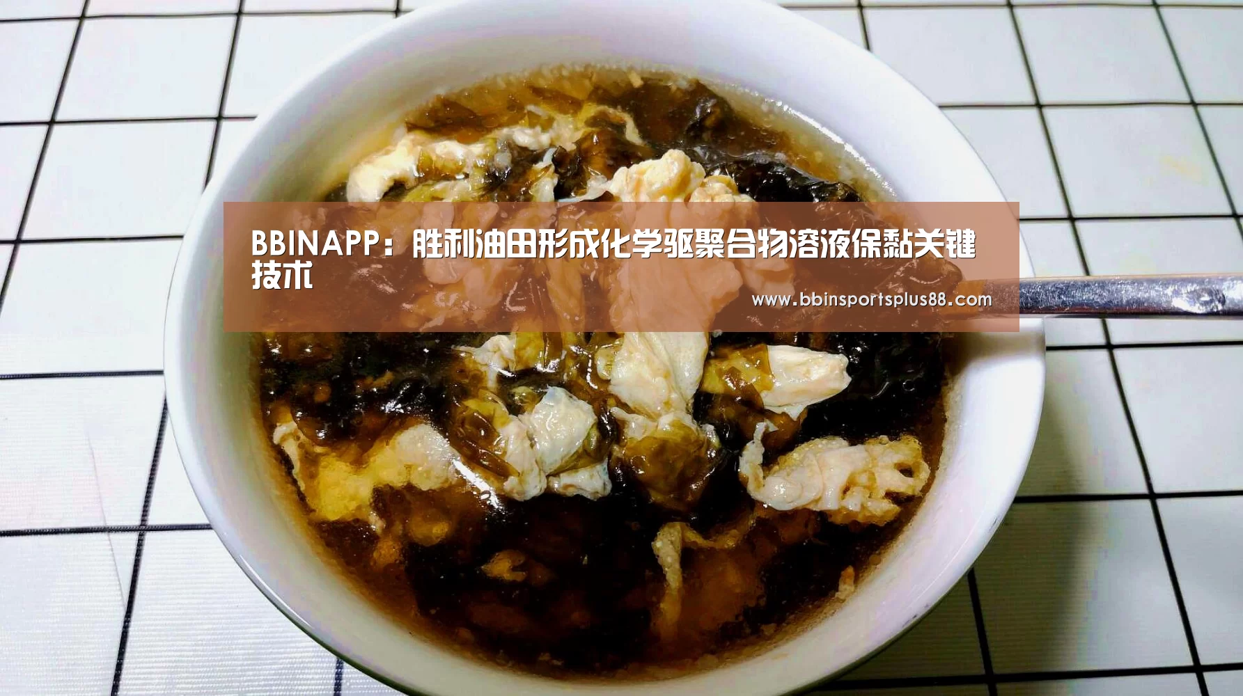 BBINAPP:胜利油田形成化学驱聚合物溶液保黏关键技术(图2) BBIN真人