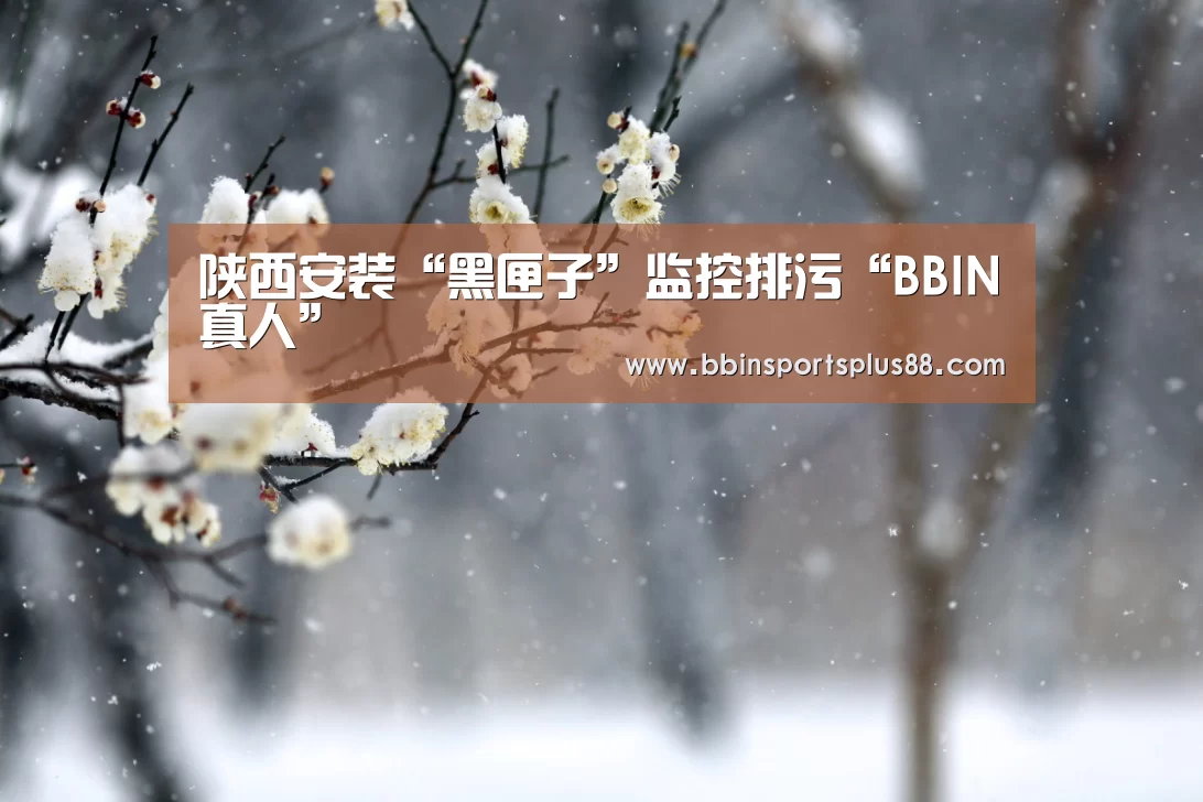 陕西安装“黑匣子”监控排污“BBIN真人”(图1) BBIN真人