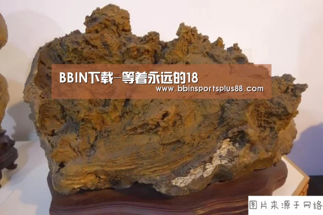 BBIN下载-等着永远的18(图1)