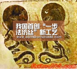 我国首创“一步法纺丝”新工艺‘BBIN真人’(图1) 我国首创“一步法纺丝”新工艺‘BBIN真人’(图1)