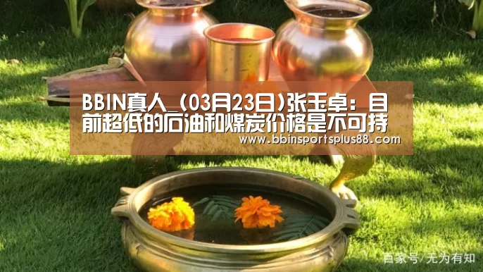 BBIN真人_(03月23日)张玉卓:目前超低的石油和煤炭价格是不可持续的(图3) BBIN下载
