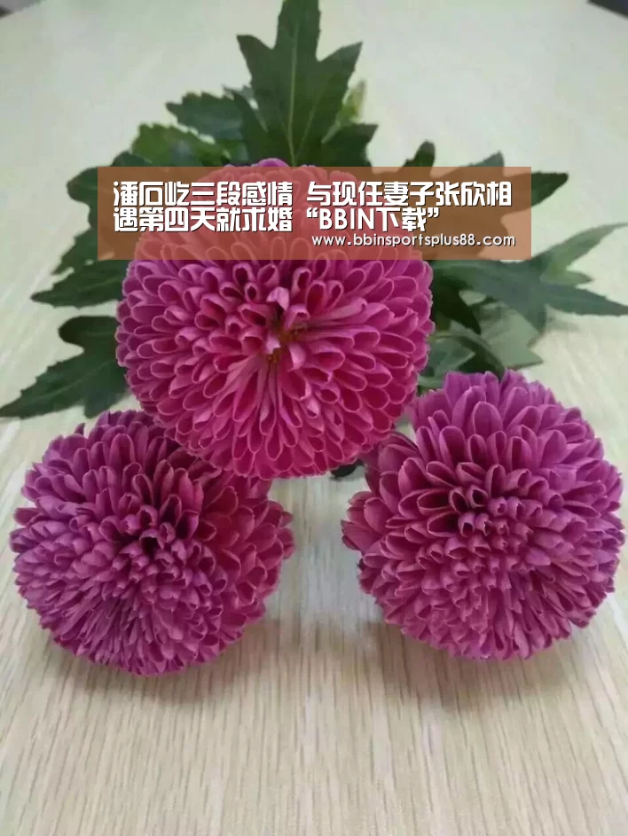 潘石屹三段感情 与现任妻子张欣相遇第四天就求婚“BBIN下载”(图3)