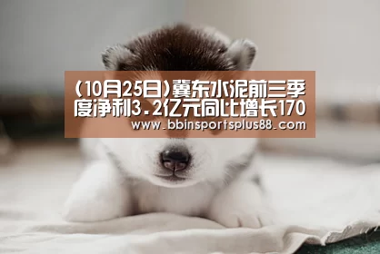 (10月25日)冀东水泥前三季度净利3.2亿元同比增长170.57%“BBINAPP”(图4) BBIN真人