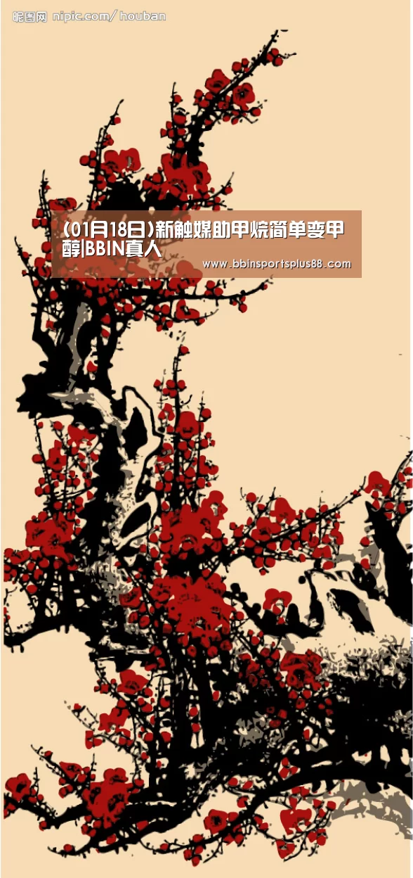 BBIN下载