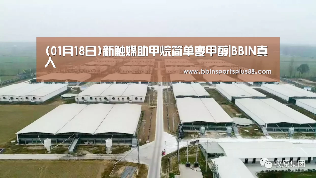 (01月18日)新触媒助甲烷简单变甲醇|BBIN真人(图2)